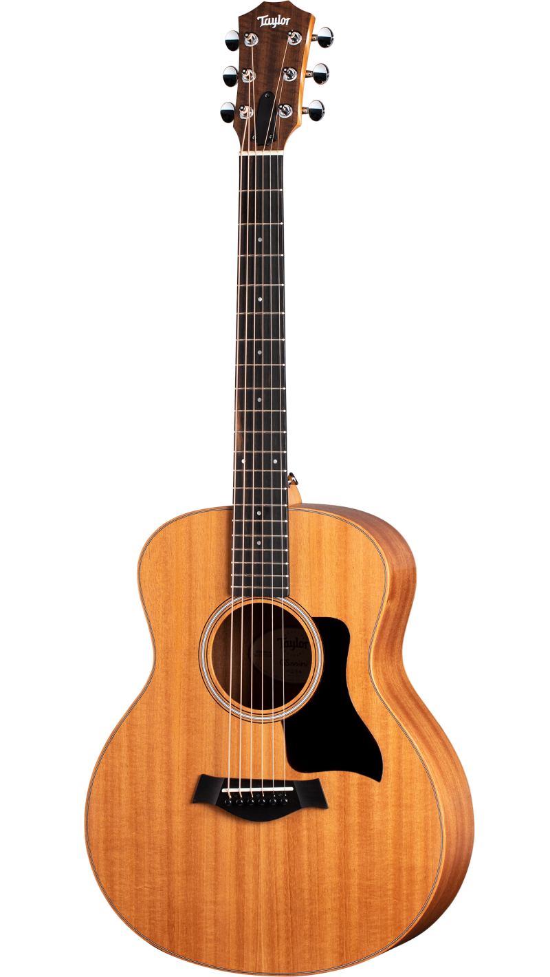 Taylor GS Mini-e